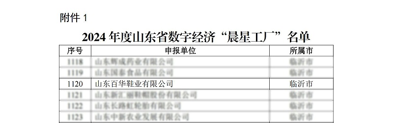 關(guān)于公布2024年度山東省數(shù)字經(jīng)濟“晨星工廠”名單的通知_02