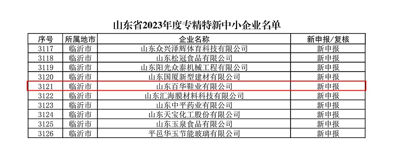 熱烈祝賀百華鞋業(yè)通過山東省專精特新企業(yè)認(rèn)定！